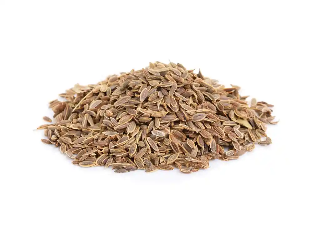 Dill Seeds Sowa