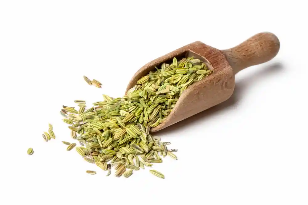 Fennel Seeds
