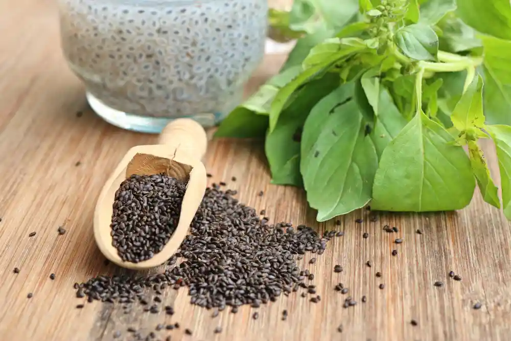 Basil Seeds (Sabja)
