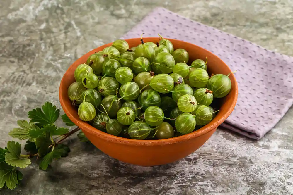 amla indian gooseberry