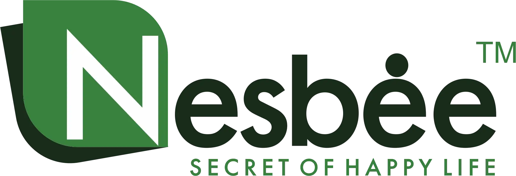 Nesbee Spices & Foods Pvt Ltd logo N white