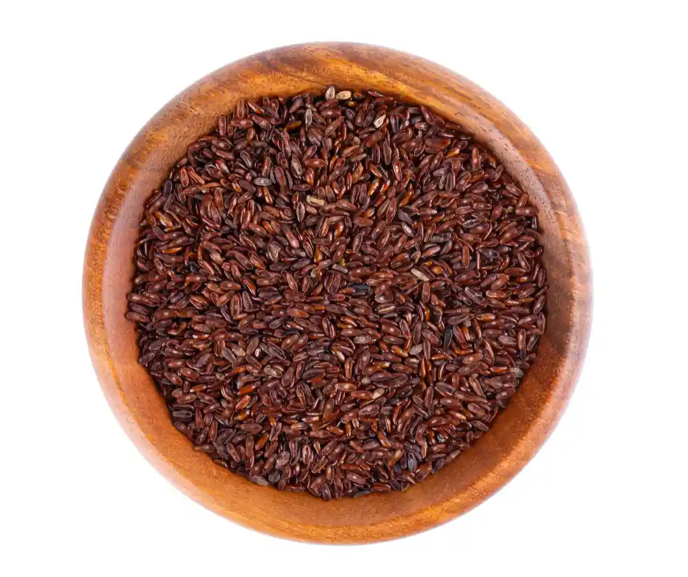 Psyllium Seeds