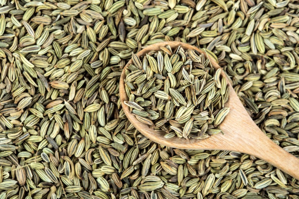 Fennel Seeds Exporter | Indian Saunf – Nesbee