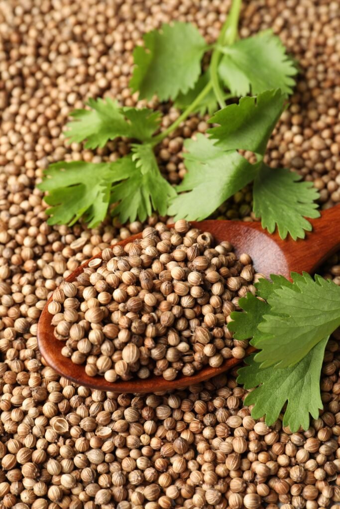 Premium Coriander Seeds Exporter from India | Nesbee