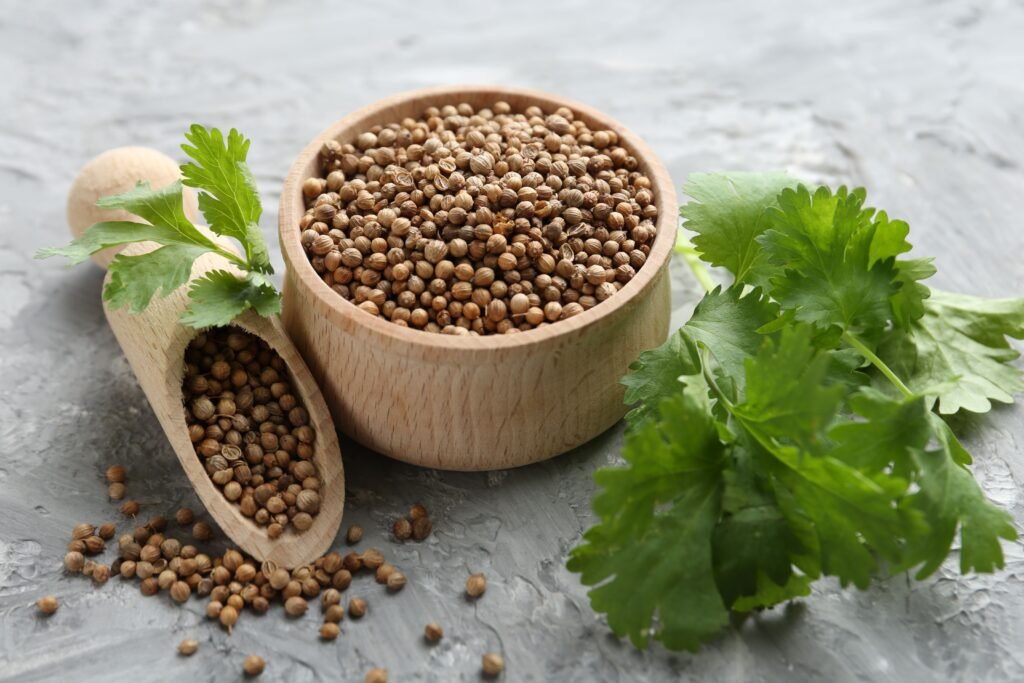 Premium Coriander Seeds Exporter from India | Nesbee